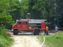 Waldbrand in Eberau, 15.06.2009