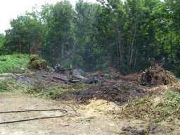 Waldbrand in Eberau, 15.06.2009