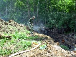 Waldbrand in Eberau, 15.06.2009