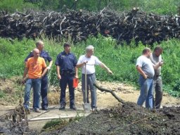 Waldbrand in Eberau, 15.06.2009